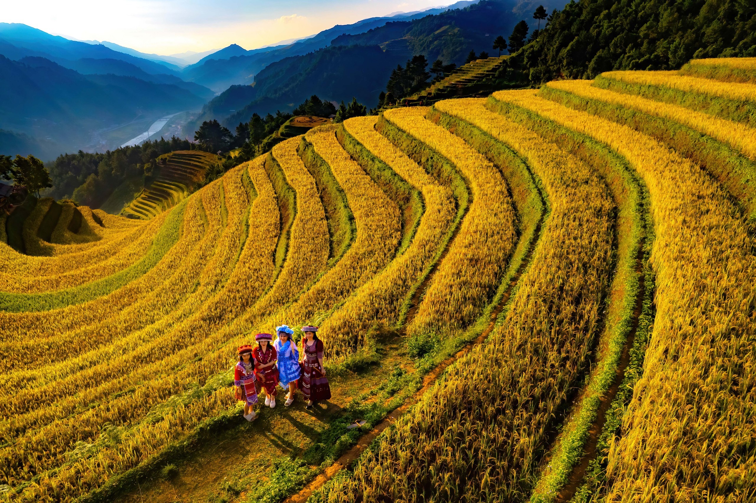 Mù Cang Chải mùa lúa chín 4