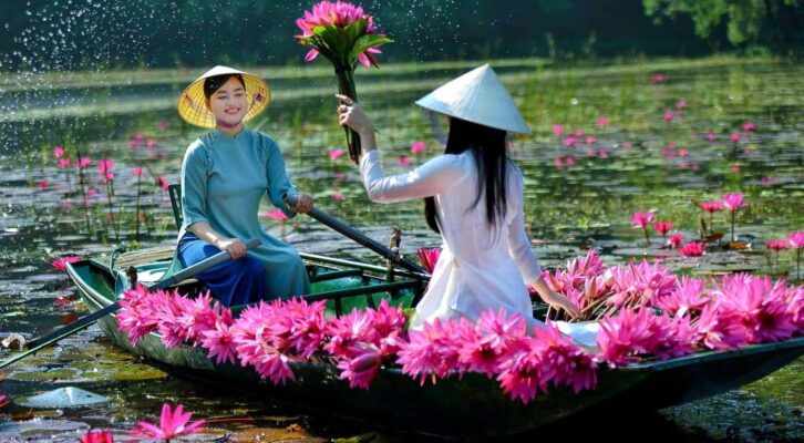Hoa súng Ninh Bình 1