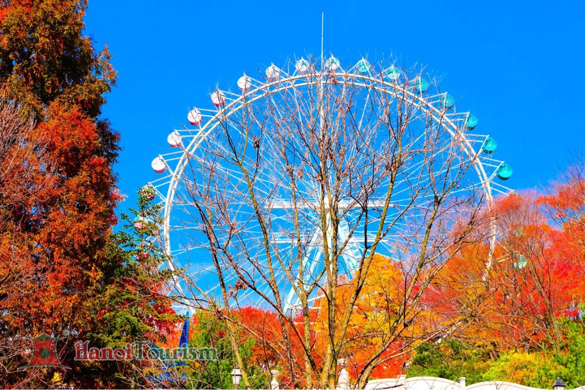 Công viên giải trí của Everland - Hàn Quốc - Mùa thu